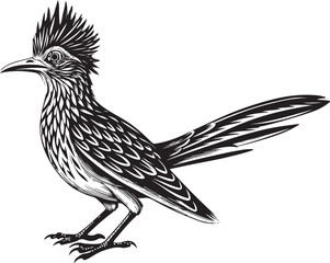 Fototapeta premium black roadrunner bird vector illustration printable