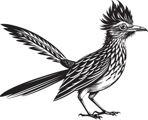 Obraz premium black roadrunner bird vector illustration printable