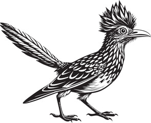 Obraz premium black roadrunner bird vector illustration printable