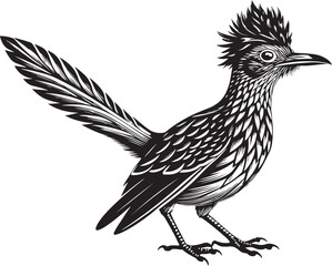 Obraz premium black roadrunner bird vector illustration printable