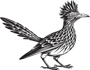Obraz premium black roadrunner bird vector illustration printable