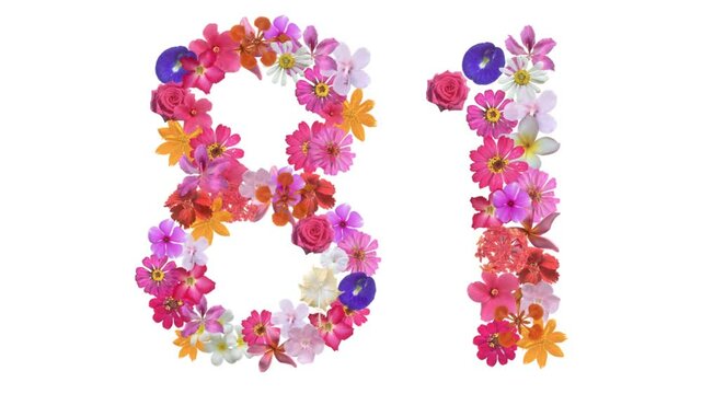 81, Video of numbers formed from growing flowers, suitable for birthday, anniversary and commemoration templates.
