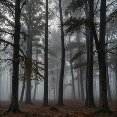 Fototapeta premium fog in the forest