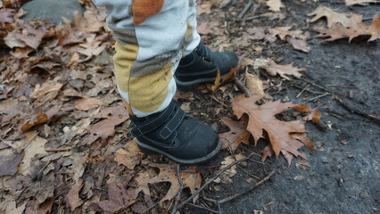 Fototapeta premium Child's Boots and Leaf-Strewn Forest Floor in Wisconsin Fall