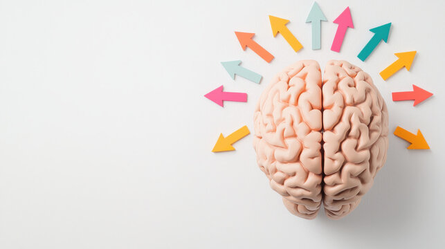 human brain model with colorful arrows indicating various directions and ideas, symbolizing creativity and thought processes