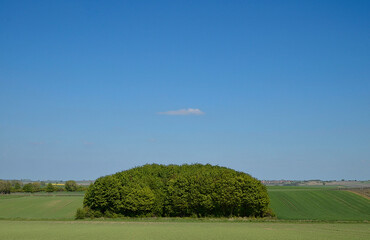 landschaft, fotografisch verfremdet