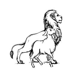 Vector drawing. Lion and lamb walks together
