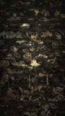 dark grey mottled background of ancient medieval weathered wall made of heavy stone blocks. creative artistic photo for vertical moody backdrop or decoration in 16x9 format
