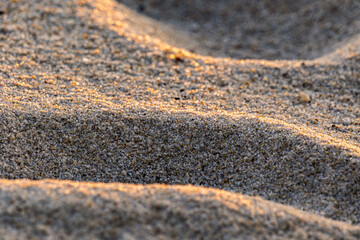 Closeup of beach sand in sunset light