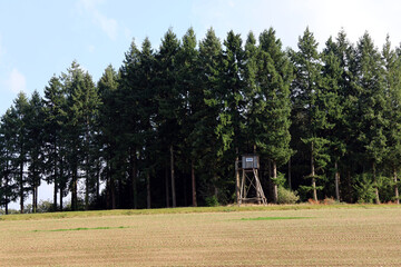 Bäume, Hochsitz und Feld bei Bad Bertrich in der Eifel auf dem Wanderweg Wasserfall-Erlebnisroute, der 2023 zu Deutschlands schönstem Wanderweg gewählt wurde.