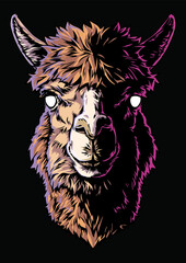 Llama