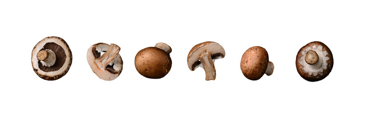 Raw uncooked champignon mushrooms isolated