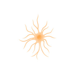 Vector illustration of Astrocyte