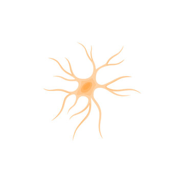 「Astrocyte」の写真素材 | 2,122件の無料イラスト画像 | Adobe Stock