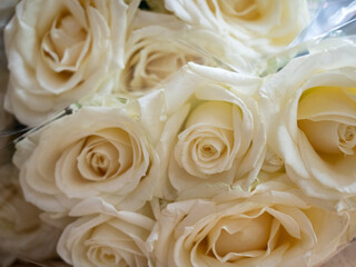  Fresh Bouquet of White Roses, Romantic and Elegant, Close-Up View