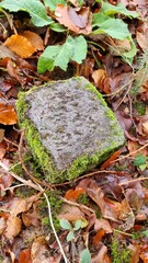 Forest and wood marker stone in the fall foliage