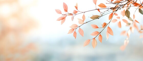 Pastel leaves dance against a soft focus backdrop, embodying the gentle and ephemeral beauty of autumn's transition.