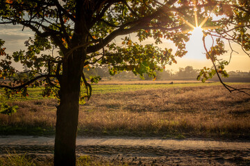 The autumn sun illuminating the fields