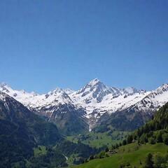 A full shot of a mountain range with eagle in sky at eye level, with snow-capped peaks and a lush valley below