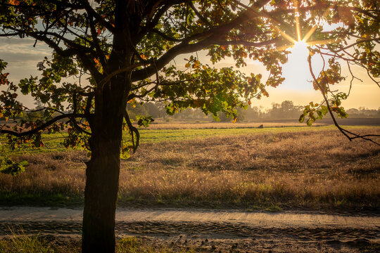 The autumn sun illuminating the fields