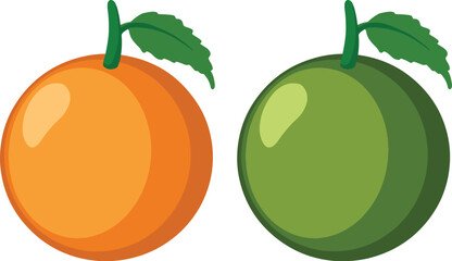 Orange illustrator vector
