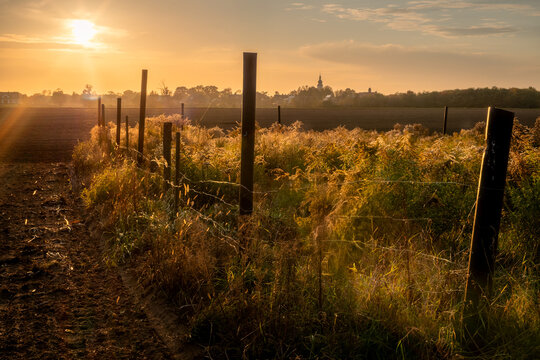 The autumn sun illuminating the fields