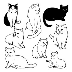 Cat Silhouette Vector Designs for Creative Projects