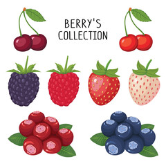 Berry's Collection including strawberry berry cherry and blue berry