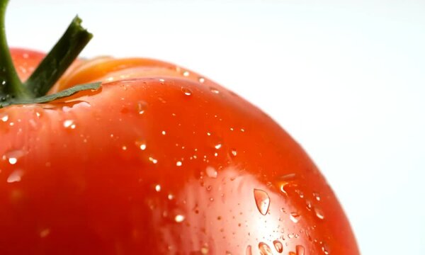 acercamiento de tomate