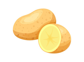 Fresh potatoes in cartoon style. Vector illustration of delicious potato: whole and half isolated on white background. Peeled and unpeeled potatoes. Healthy food. Vegetables. Harvest. Root crops.