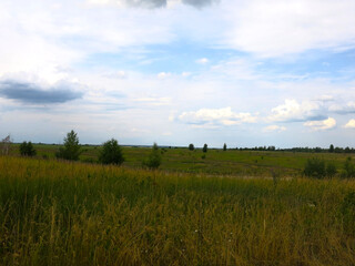 Fototapeta premium wide summer field with trees in the distance under a calm blue sky