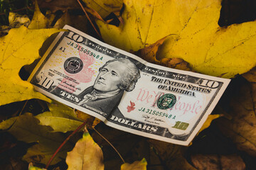 The dollar fell, concept