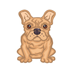 cute beige english bulldog dog vector illustration