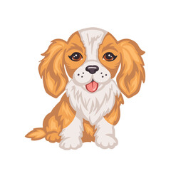 cute king charles spaniel dog vector illustration