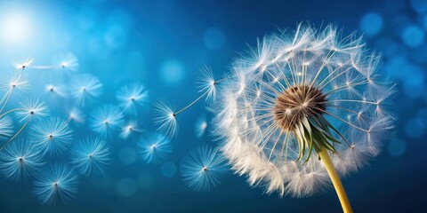 Detailed close-up of dandelion seeds blowing against a vibrant blue background