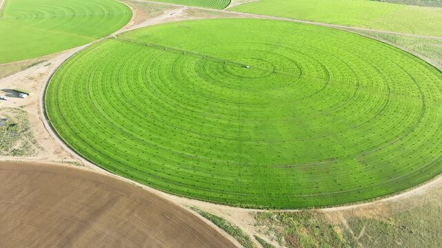 Aerial shot of circular farms in the California desert