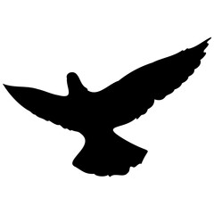 Set black silhouette flying dove. Silhouette of flying birds.