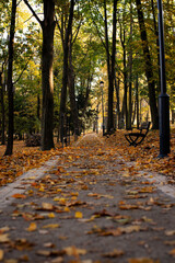 Park