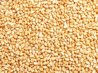 Fototapeta premium Close up of grains in various textures, including rough, smooth, and coarse, detail, natural, nutrition