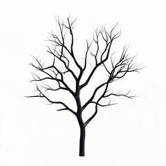 Isolated Oak Tree with Stark Branches in a Minimalist Composition, Highlighting the Absence of Leaves Against a Plain Background