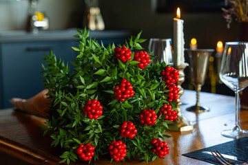 Christmas Flower 'Cochina Flowers' (Kokina Çiçeği) Bouquet on the Christmas Background Photo,...
