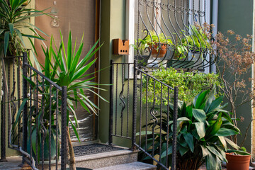 Bright beautiful windows of old Turkish houses in Uskudar