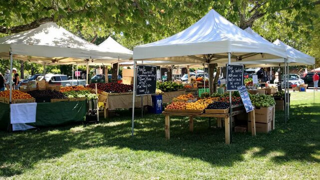 A farmers' market is bustling with activity under the shade of trees on a sunny day