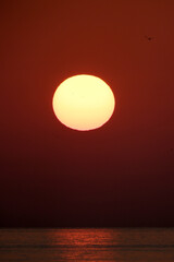 Sunset on the Black Sea. Sunset over the sea with seagulls on the horizon