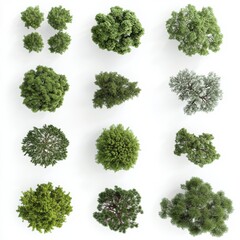 set of green trees
