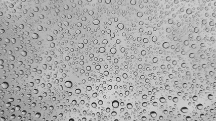 Raindrops on glass close-up. Black and white monochrome. Selective focus