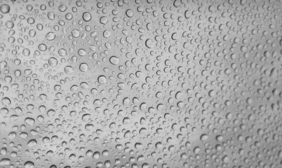 Raindrops on glass close-up. Black and white monochrome. Selective focus
