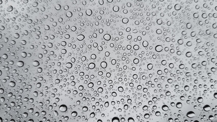 Raindrops on glass close-up. Black and white monochrome. Selective focus