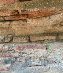 Old Orange brick and cement wall in Ayutthaya Thailand