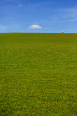Beautiful countryside in north of England in Lake District. This image resembles windows screen saver with it's green grasslands and blue skies
